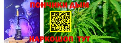 дурь Камышлов