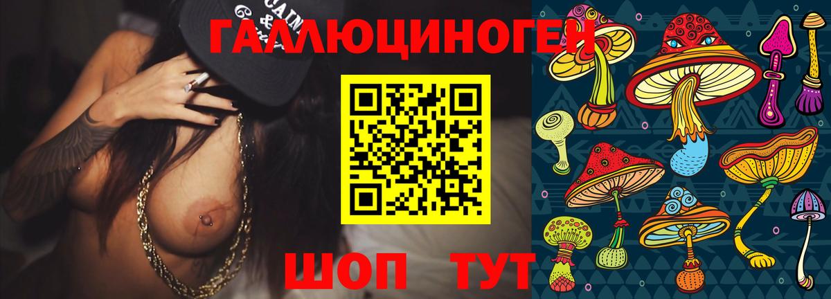Лосино-Петровский  Галлюциногенные грибы Magic Shrooms  Вход с VPN  Галлюциногенные грибы Magic Shrooms 